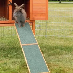 Trixie Träramp för Smådjur 50 cm