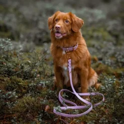 Tyylivoitto Classy Hundhalsband Lavendel