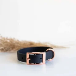 Tyylivoitto Classy Hundhalsband för Små Hundar Svart