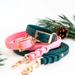 Tyylivoitto Classy Hundhalsband för Små Hundar Smaragdgrön
