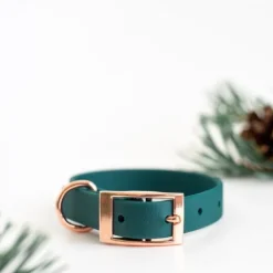 Tyylivoitto Classy Hundhalsband för Små Hundar Smaragdgrön