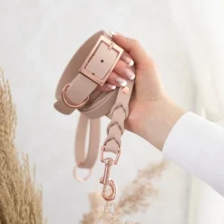 Tyylivoitto Classy Hundhalsband för Små Hundar Beige