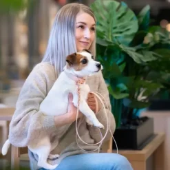 Tyylivoitto Classy Hundhalsband för Små Hundar Beige
