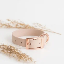 Tyylivoitto Classy Hundhalsband för Små Hundar Beige