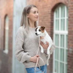 Tyylivoitto Classy Hundhalsband för Små Hundar Beige