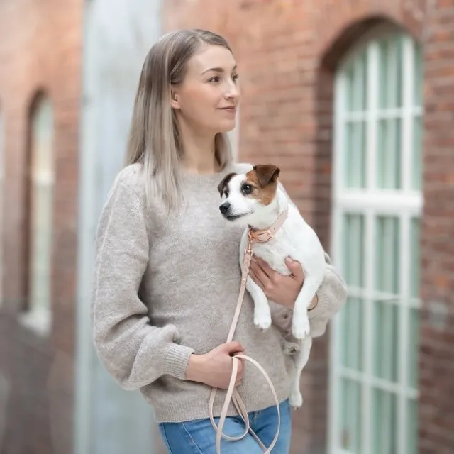 Tyylivoitto Classy Hundhalsband för Små Hundar Beige