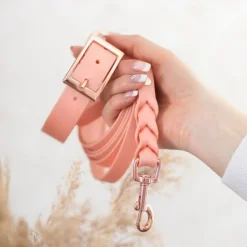 Tyylivoitto Classy Hundhalsband Persika