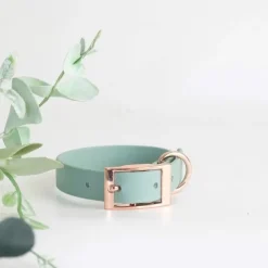 Tyylivoitto Classy Hundhalsband för Små Hundar Ljusgrön