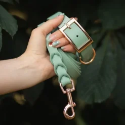 Tyylivoitto Classy Hundhalsband Ljusgrön
