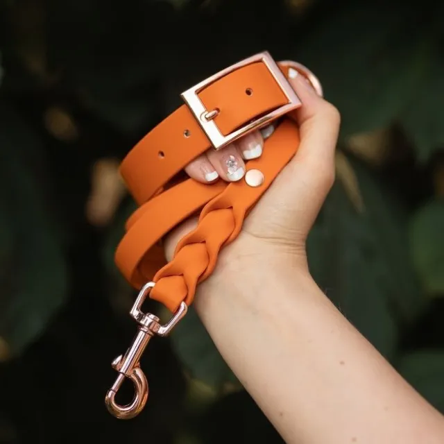 Tyylivoitto Classy Hundhalsband Orange