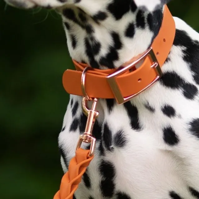Tyylivoitto Classy Hundhalsband Orange