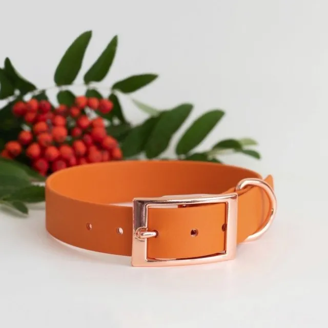 Tyylivoitto Classy Hundhalsband Orange