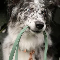 Tyylivoitto Classy Hundkoppel Flätat Ljusgrön 200 cm