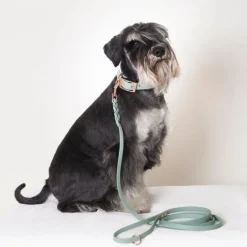 Tyylivoitto Classy Hundkoppel Flätat Ljusgrön 200 cm