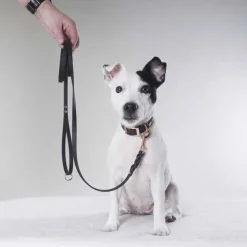 Tyylivoitto Hundkoppel Flätat Svart