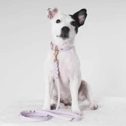 Tyylivoitto Hundkoppel Flätat Lavendel 200 cm