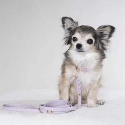Tyylivoitto Hundkoppel Flätat Lavendel 200 cm