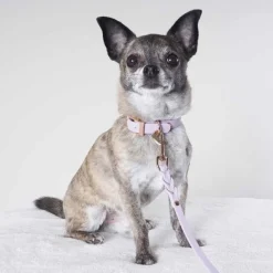 Tyylivoitto Hundkoppel Flätat Lavendel 200 cm