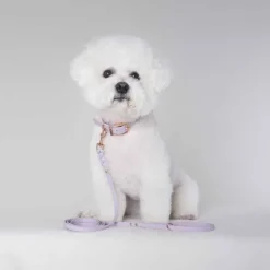 Tyylivoitto Hundkoppel Flätat Lavendel 200 cm