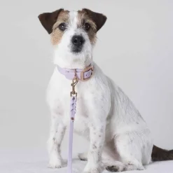 Tyylivoitto Hundkoppel Flätat Lavendel 200 cm