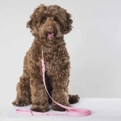 Tyylivoitto Hundkoppel Flätat Rosa 200 cm