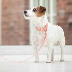 Tyylivoitto Hundkoppel Flätat Persika 200 cm