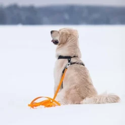 Tyylivoitto Spårlina Orange 6 m