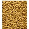 Versele-Laga NutriBird P15 Original Papegojpellets 1 kg