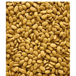 Versele-Laga NutriBird P15 Original Papegojpellets 1 kg