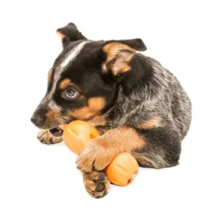West Paw Qwizl Orange 1-pack