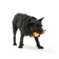 West Paw Qwizl Orange 1-pack