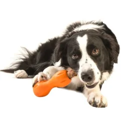 West Paw Qwizl Orange 1-pack