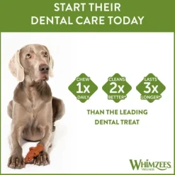Whimzees Krokodil Large 6-pack
