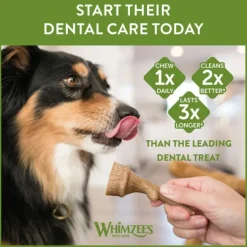 Whimzees Occupy Antler M 1-pack