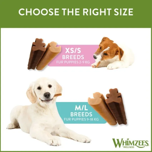 Whimzees Puppy Dental XS/S