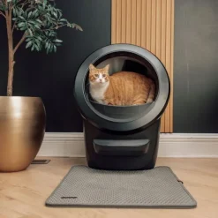 Whisker Litter-Robot 4 Självrensande Kattlåda Svart