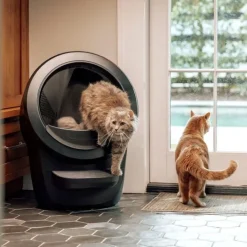 Whisker Litter-Robot 4 Självrensande Kattlåda Svart