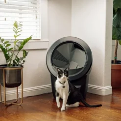 Whisker Litter-Robot 4 Självrensande Kattlåda Svart