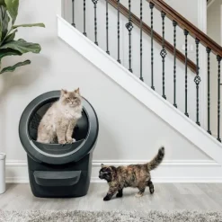 Whisker Litter-Robot 4 Självrensande Kattlåda Svart