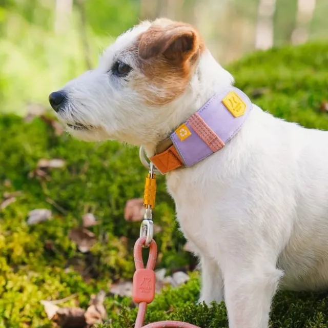 Woolly Wolf Alpha 360 Hundhalsband Lavendel/Brun