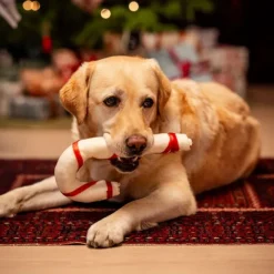 Xmas Julkäpp